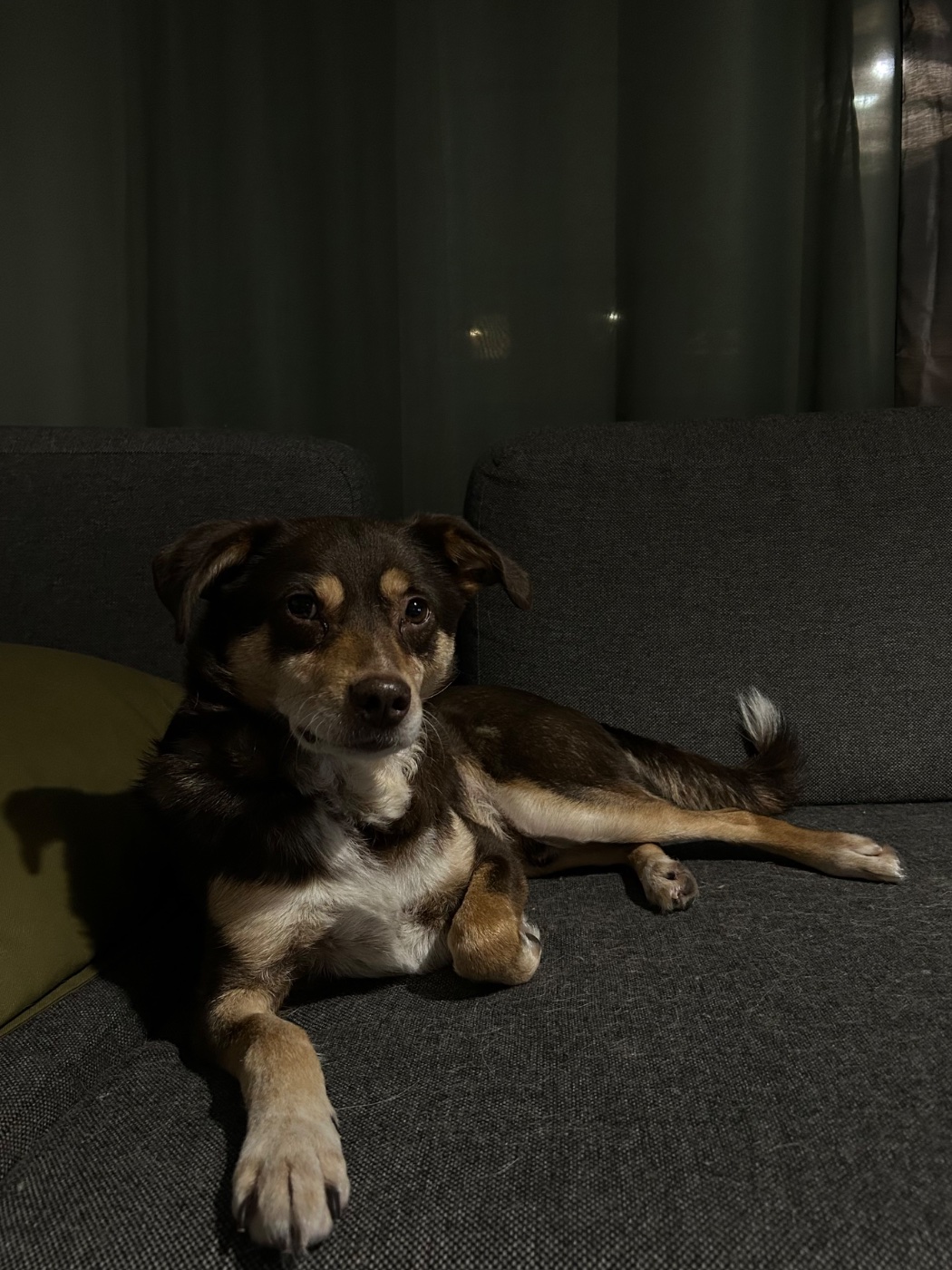 Milo