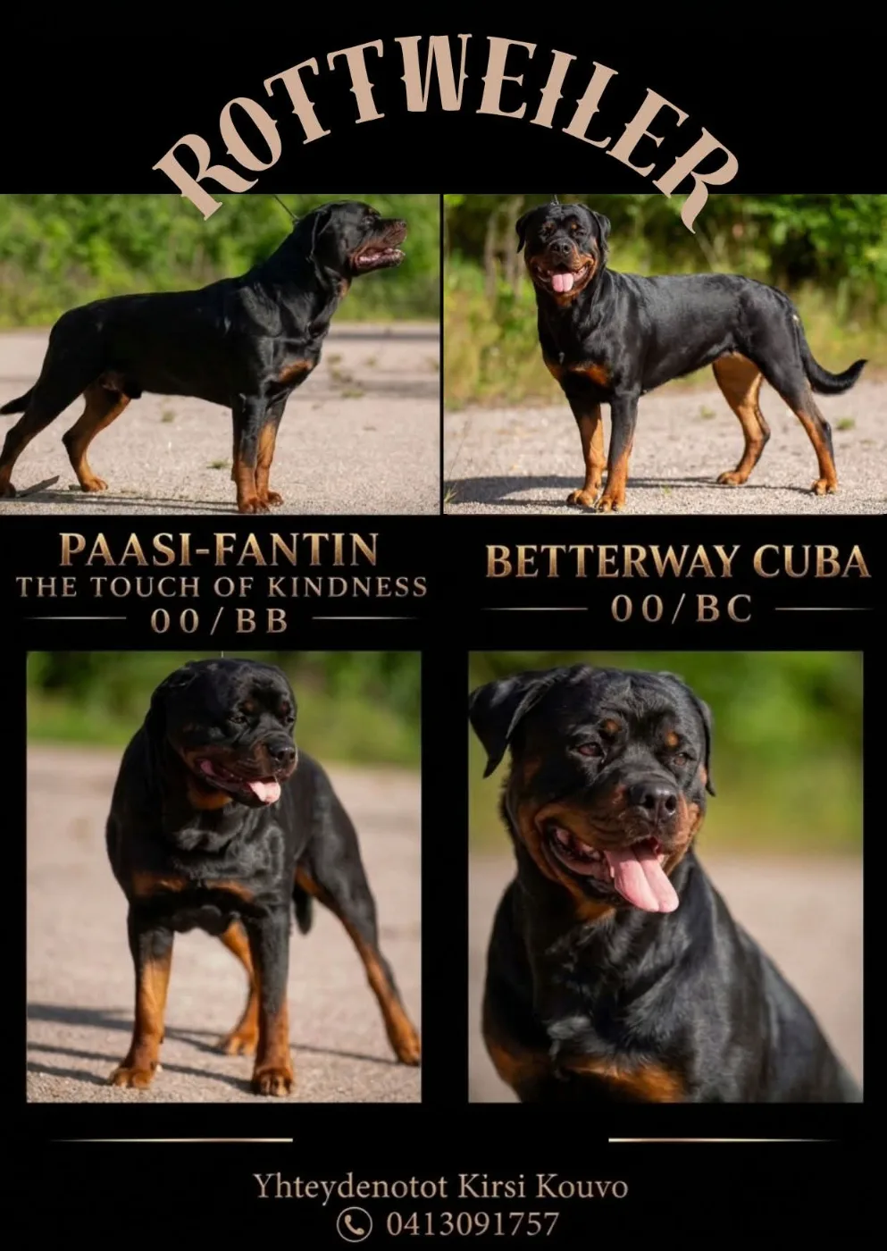 Nowa, Rottweiler