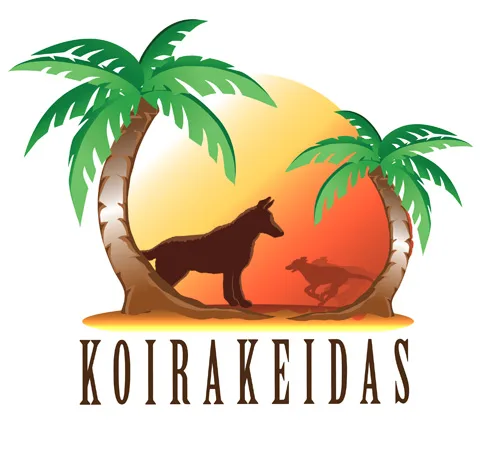 Koirakeidas