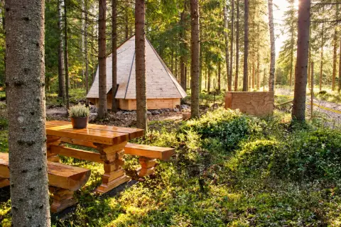 Pörrö, Muru & Hani, Suomenlapinkoira: #koirametsä