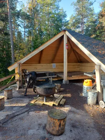 Koira: #koirametsä
