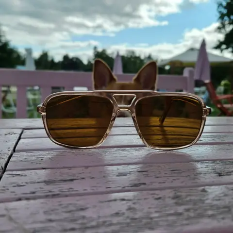 Bono ja Piika, Australiankarjakoira: Kesäisin auki oleva kakkukahvila, josta saa myös loistavaa pizzaa. #koirakahvila